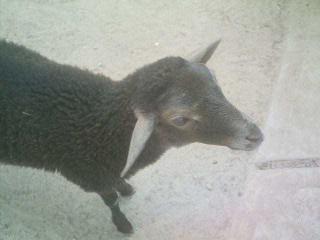 Foto de Caricuao, Venezuela