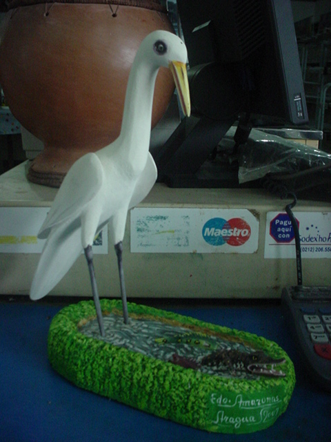 Foto de Amazonas, Venezuela