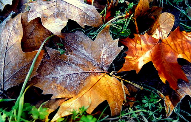 Foto de A Coruña (Galicia), España