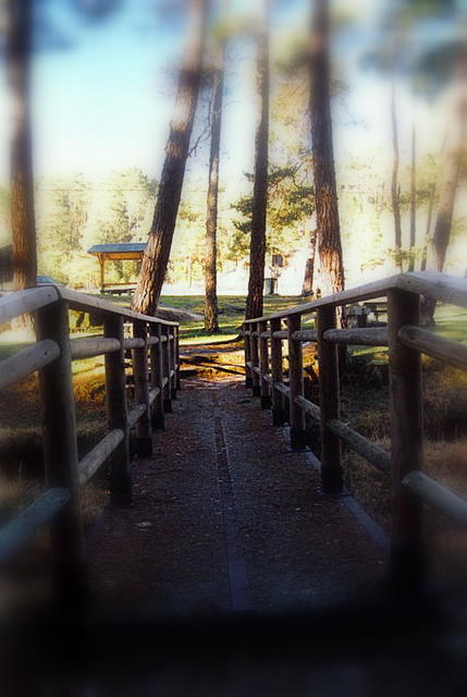 Foto de San Leonardo de Yagüe (Soria), España