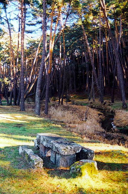 Foto de San Leonardo de Yagüe (Soria), España