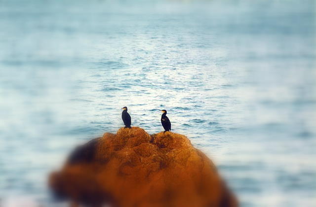 Foto de A Coruña (Galicia), España