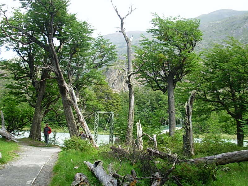 Foto de Torres del Paine, Chile
