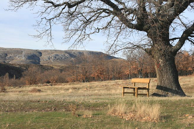 Foto de Cueva de Ágreda (Soria), España