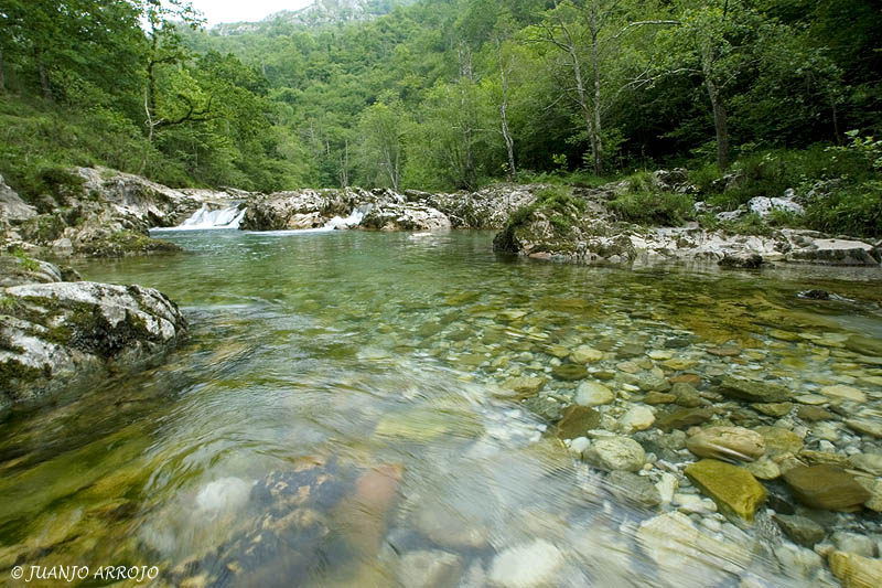 Foto de Amieva (Asturias), España