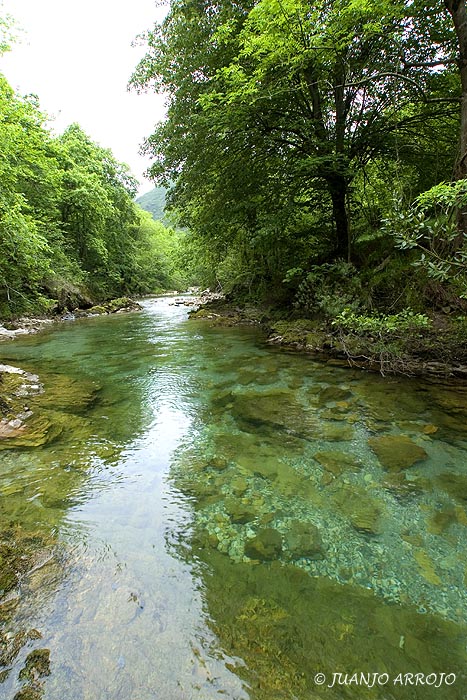 Foto de Amieva (Asturias), España
