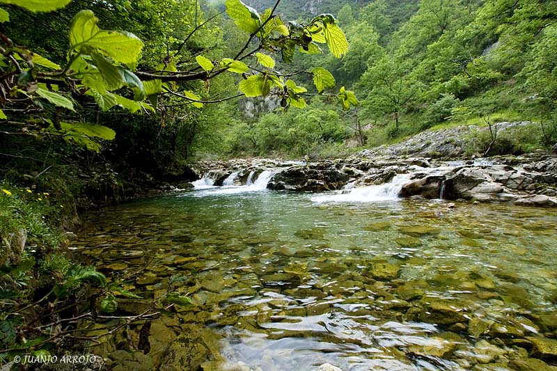 Foto de Amieva (Asturias), España