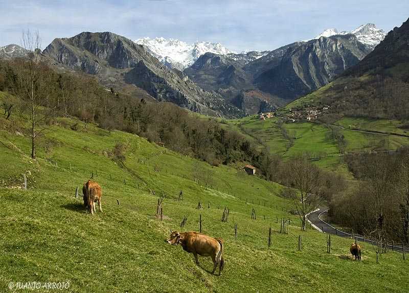 Foto de Amieva (Asturias), España