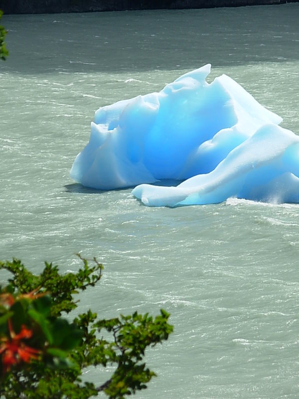 Foto de Torres del Paine, Chile