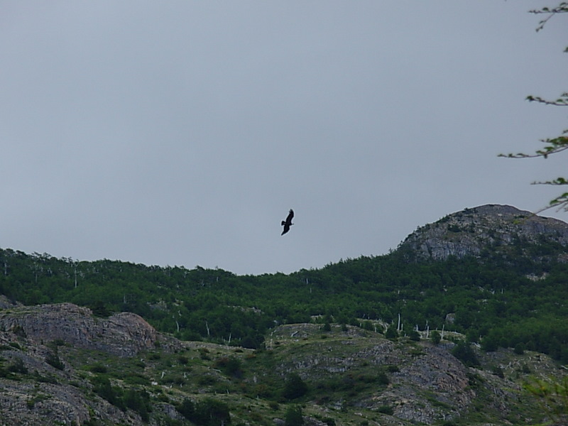 Foto de Torres del Paine, Chile