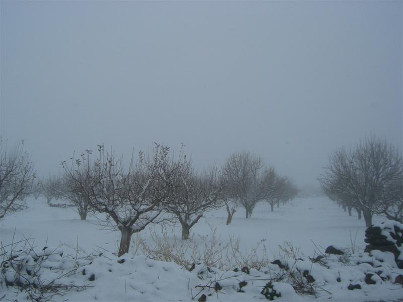 Foto de Sueda, La República Árabe Siria
