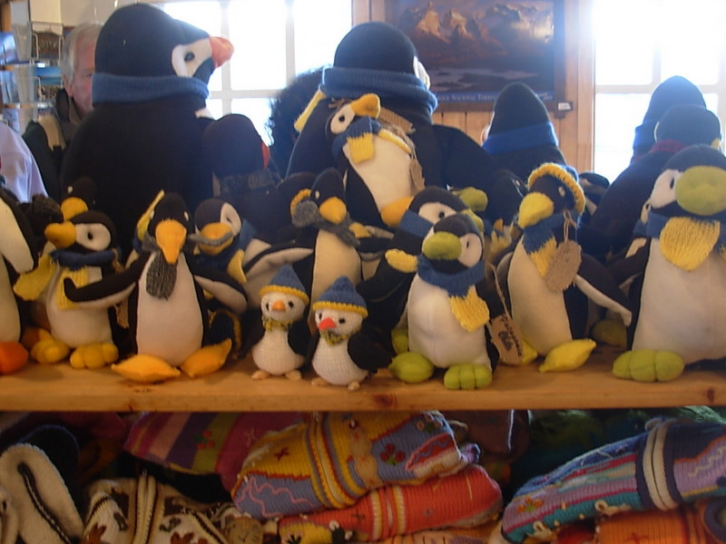 Foto de Villa Cerro Castillo, Chile