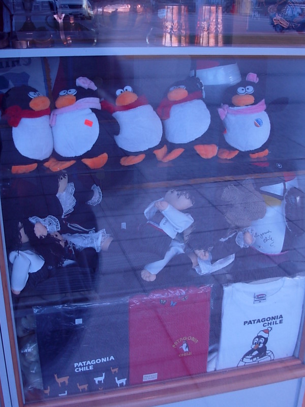 Foto de Punta Arenas, Chile