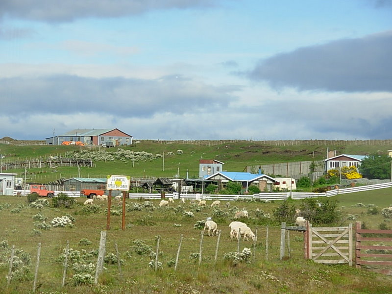 Foto de Punta Arenas, Chile