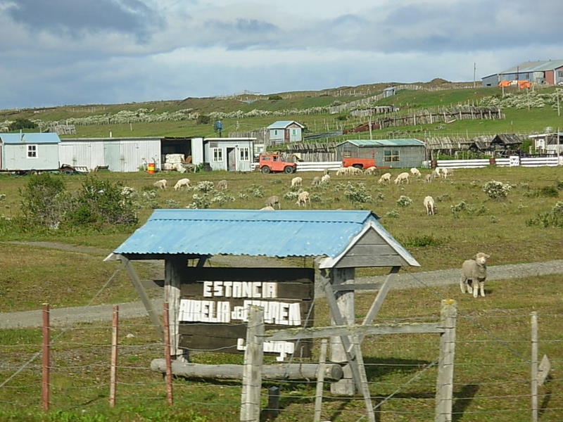 Foto de Punta Arenas, Chile