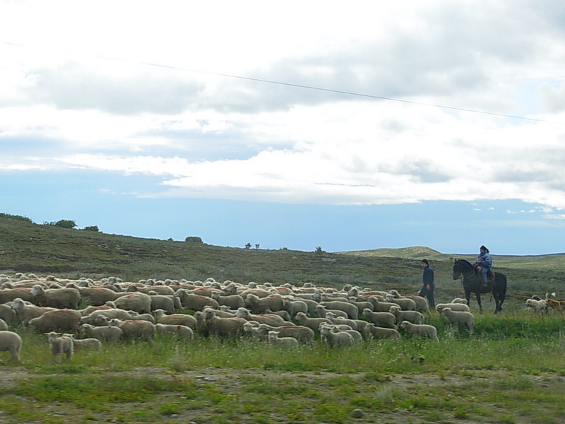 Foto de Punta Arenas, Chile