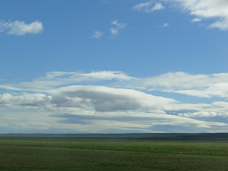 Foto de Punta Arenas, Chile