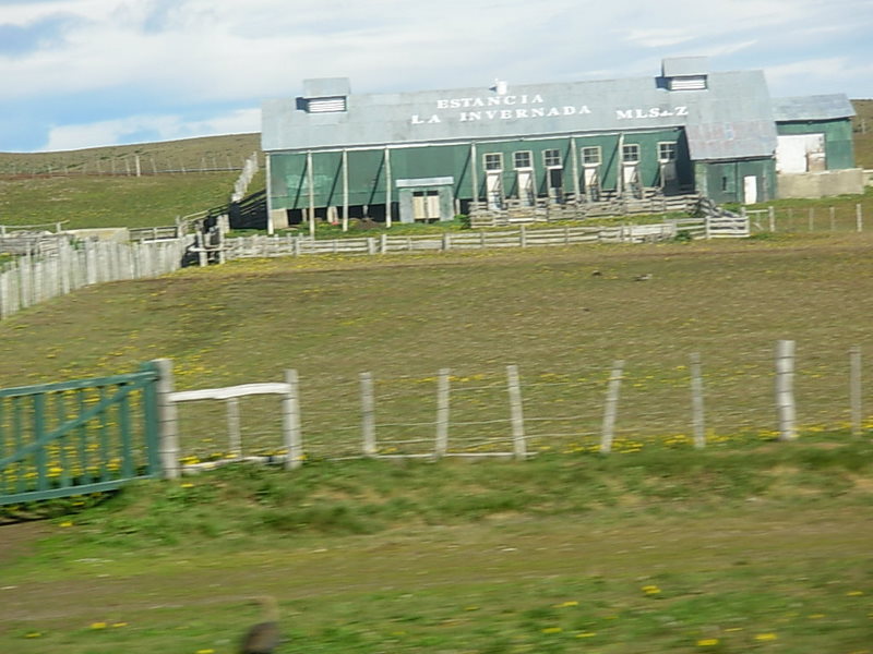 Foto de Punta Arenas, Chile