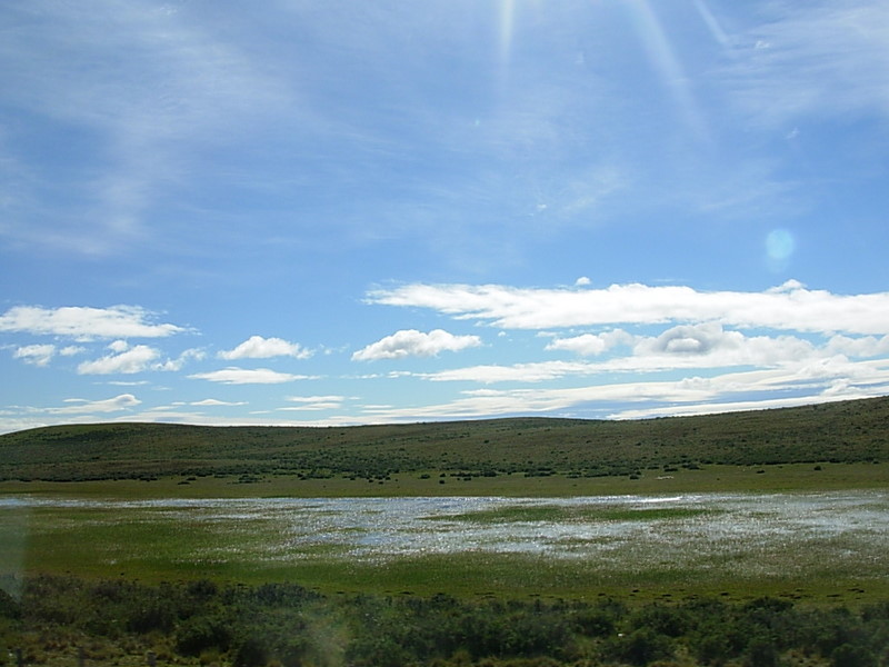 Foto de Punta Arenas, Chile