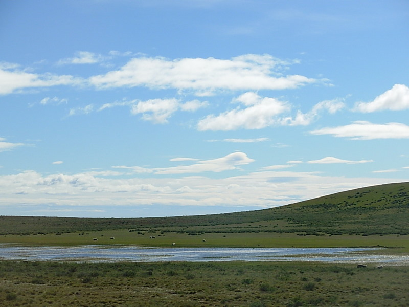 Foto de Punta Arenas, Chile