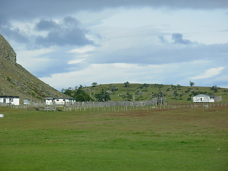 Foto de Punta Arenas, Chile