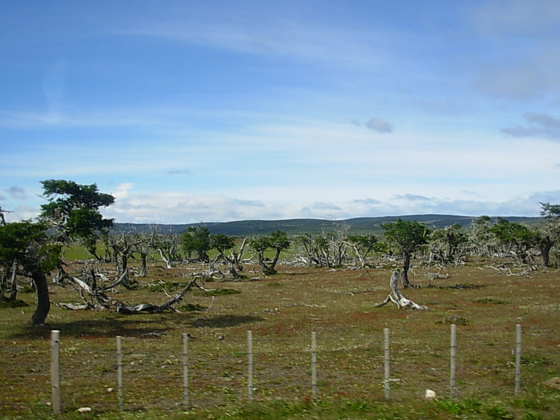 Foto de Punta Arenas, Chile