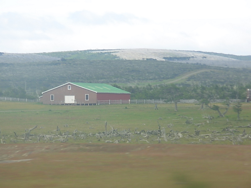 Foto de Punta Arenas, Chile
