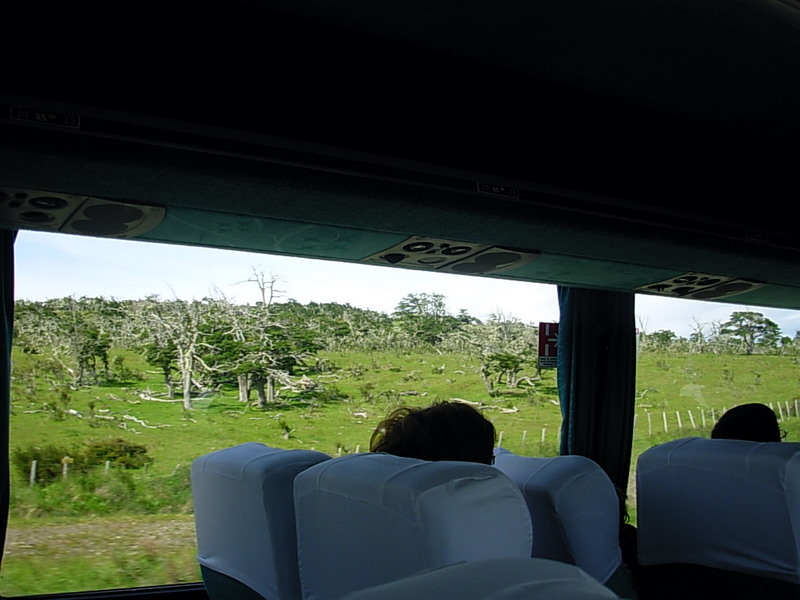 Foto de Punta Arenas, Chile