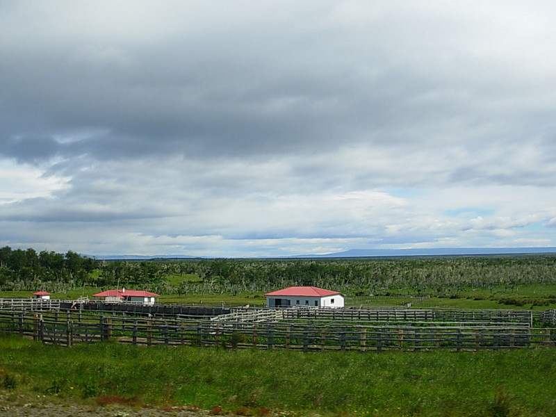 Foto de Punta Arenas, Chile