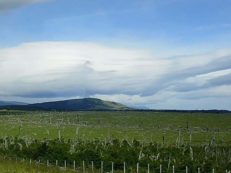 Foto de Punta Arenas, Chile
