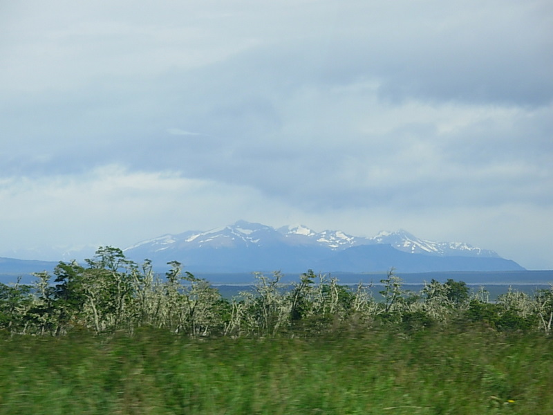 Foto de Punta Arenas, Chile