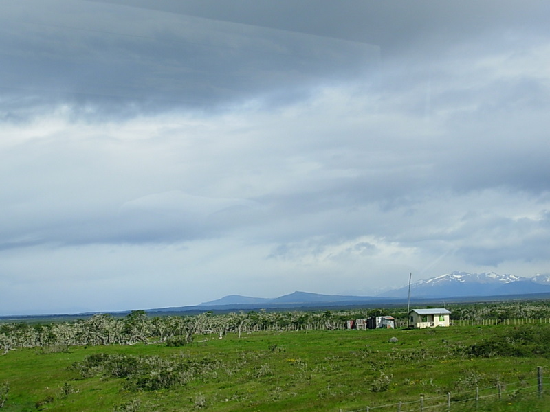 Foto de Punta Arenas, Chile