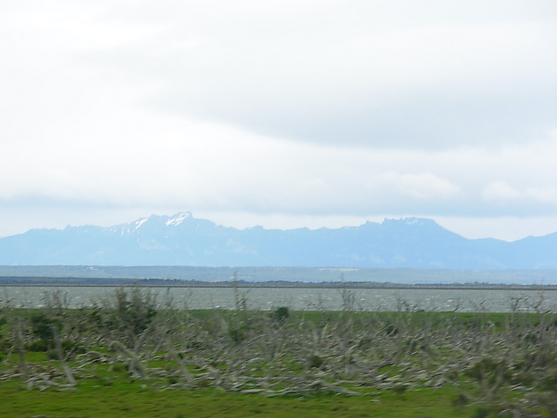 Foto de Punta Arenas, Chile