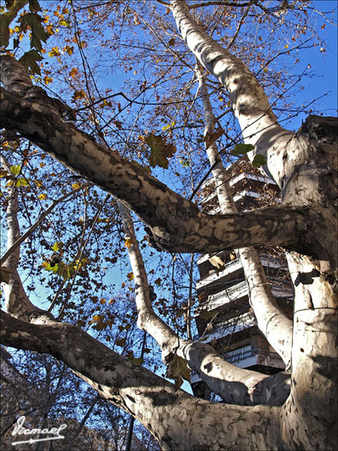 Foto de Zaragoza (Aragón), España
