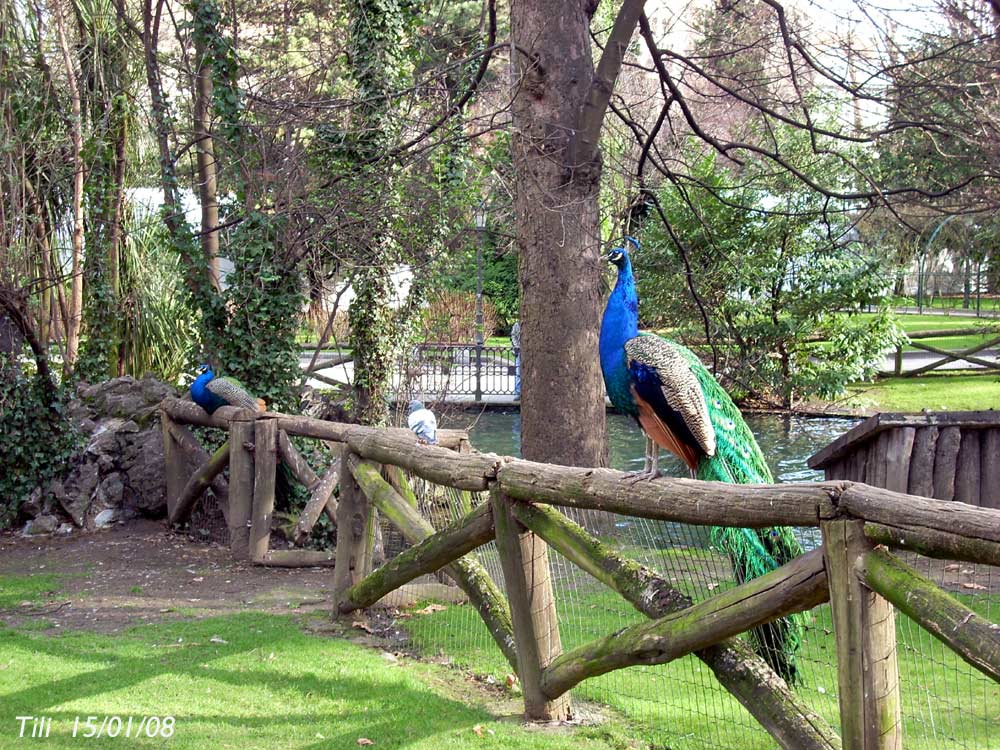 Foto de Oviedo (Asturias), España