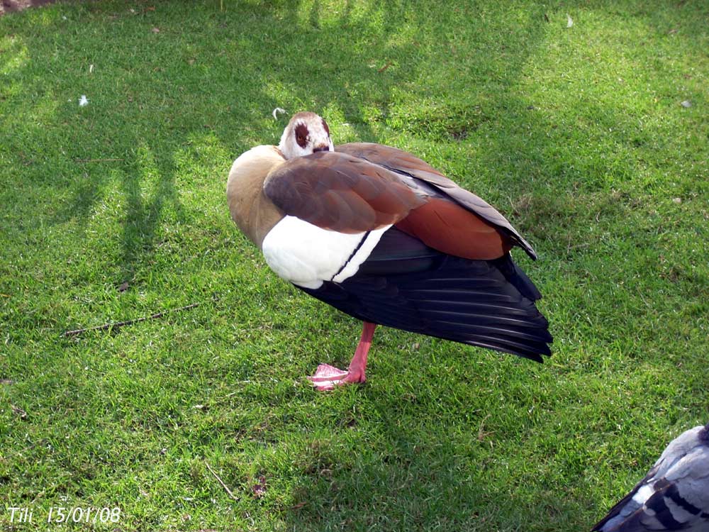 Foto de Oviedo (Asturias), España