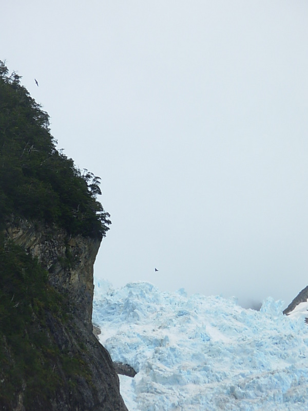 Foto de Parque Nacional Bernardo Ohiggins, Chile