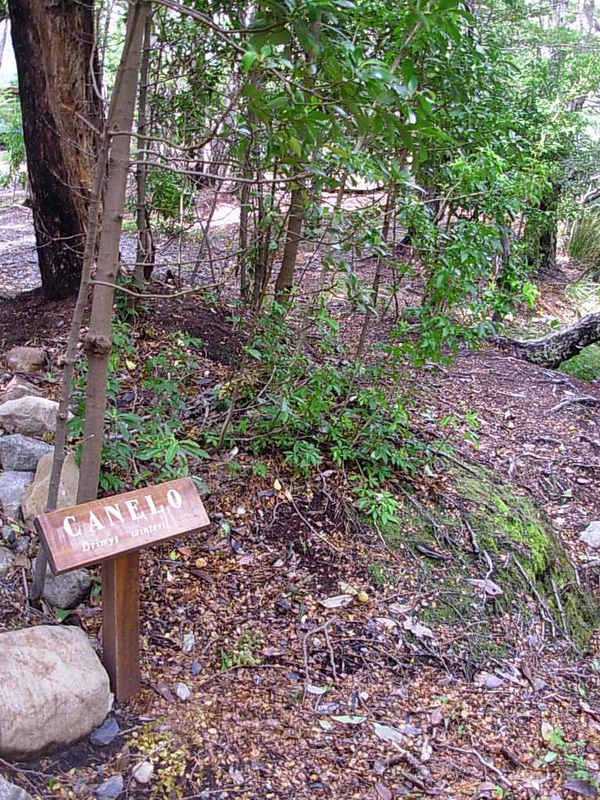 Foto de Parque Nacional Bernardo Ohiggins, Chile
