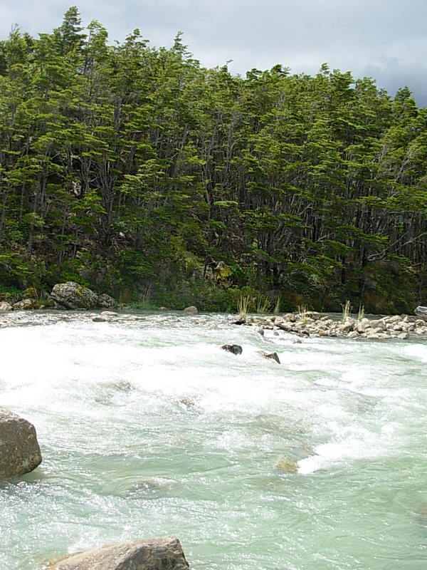 Foto de Parque Nacional Bernardo Ohiggins, Chile