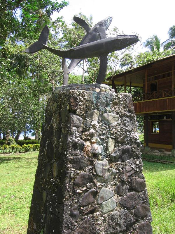 Foto de Isla Gorgona - Dpto. del Cauca, Colombia