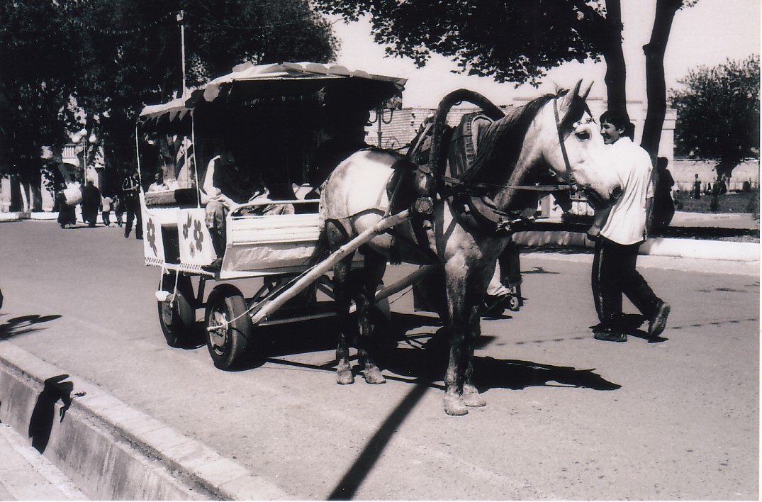 Foto de Samarcanda, Uzbekistán