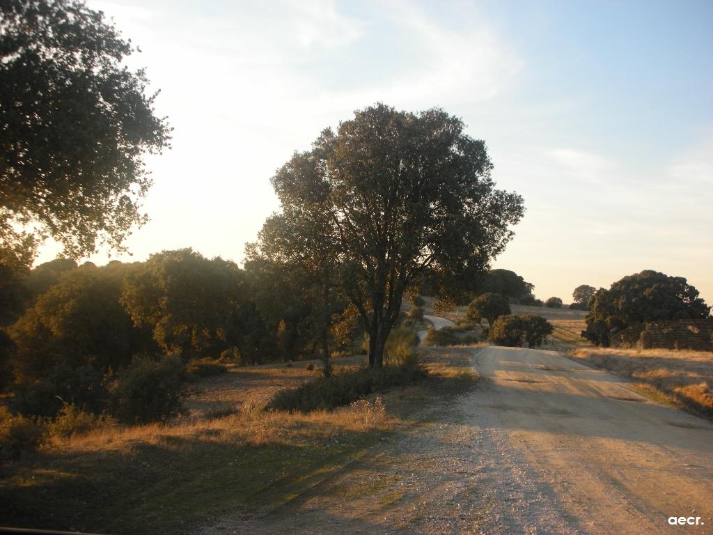 Foto de Brunete (Madrid), España