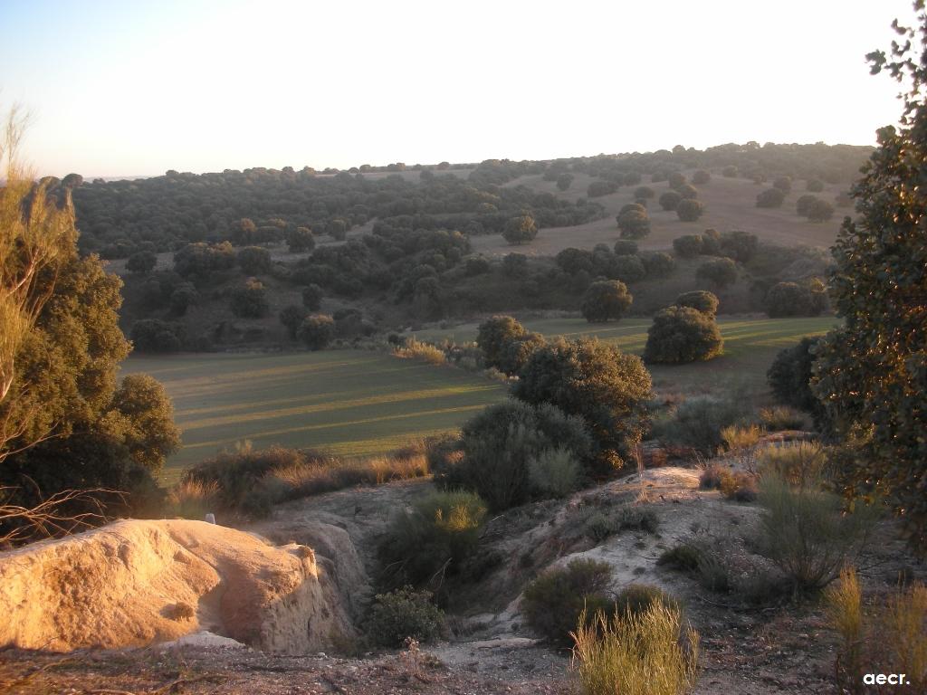 Foto de Brunete (Madrid), España
