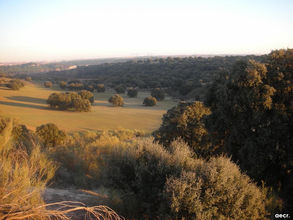 Foto de Brunete (Madrid), España
