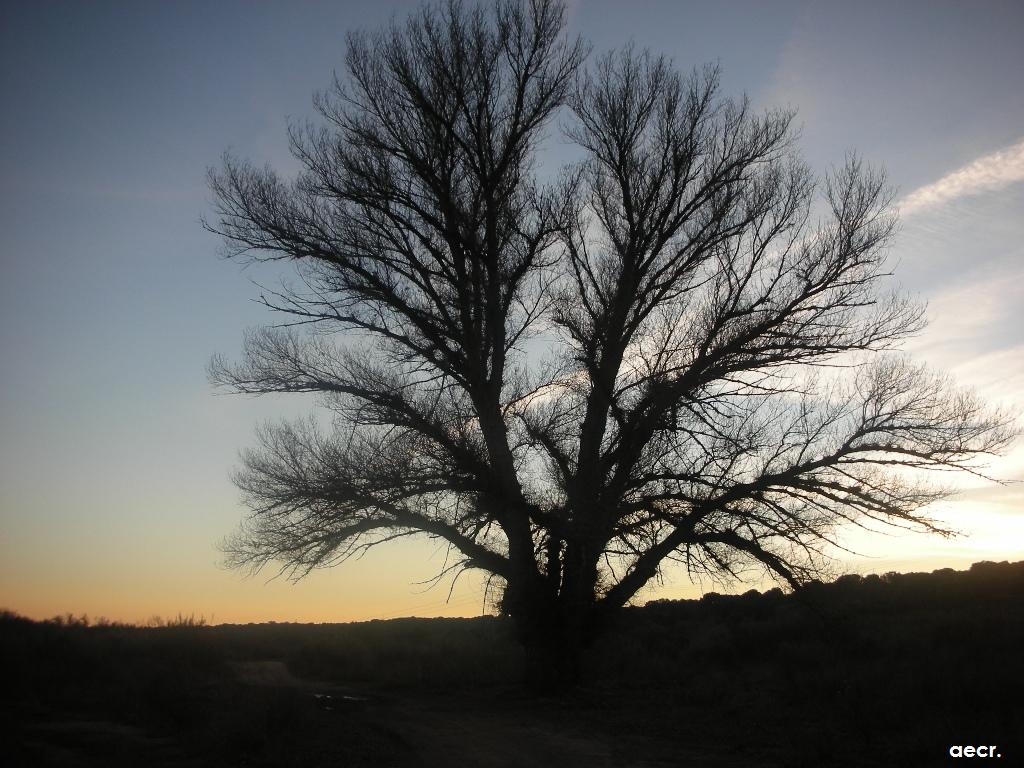 Foto de Brunete (Madrid), España