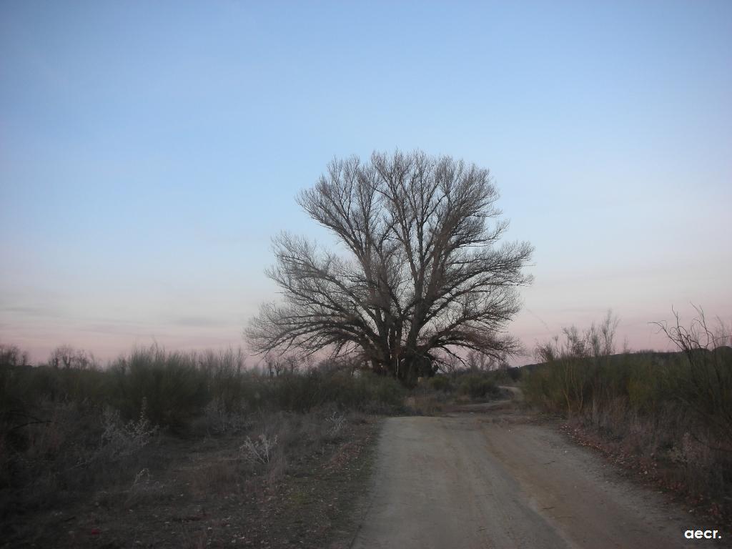 Foto de Brunete (Madrid), España
