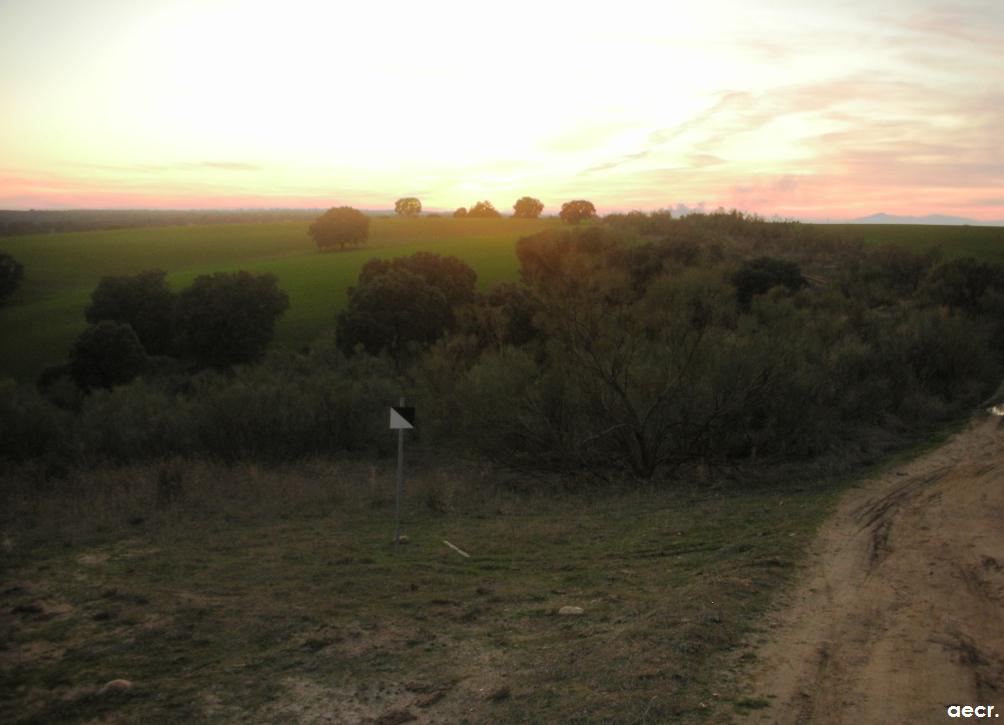 Foto de Brunete (Madrid), España