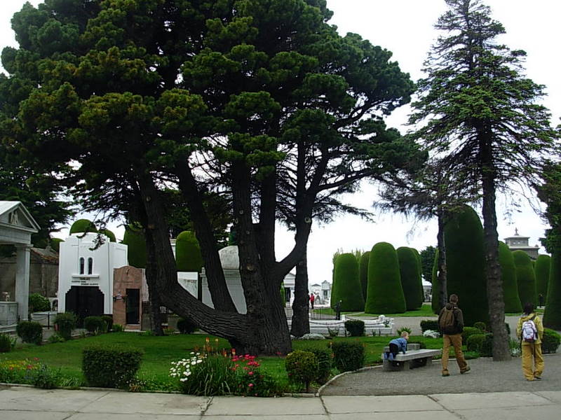 Foto de Punta Arenas, Chile