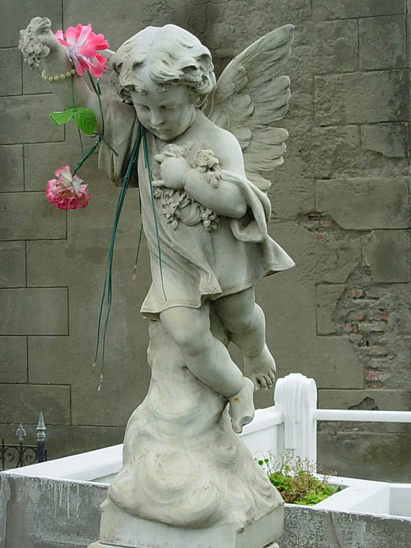 Foto de Punta Arenas, Chile