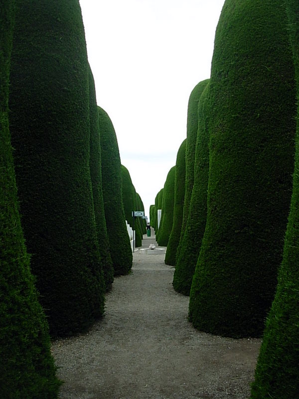 Foto de Punta Arenas, Chile